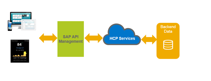 SAP API Management